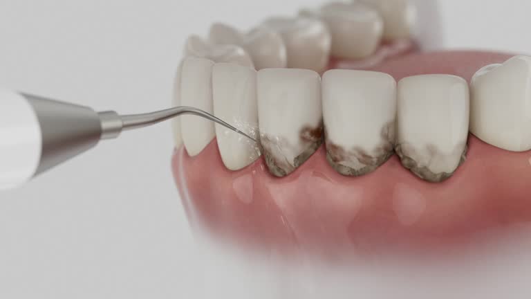 Reliable Dental contractor in Tarboro, NC by Dentist Open Now